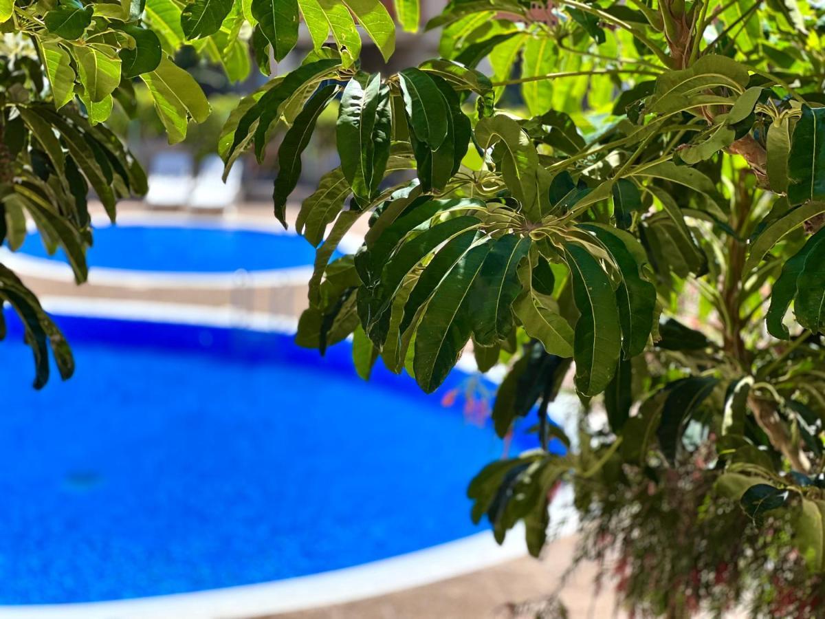 Apartment With Garden Vista Roja La Tejita Екстериор снимка